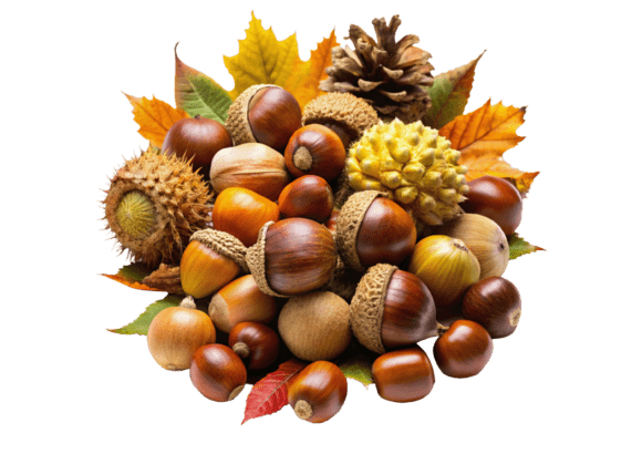 High-Quality 3D Acorns and Oak Leaves PNG