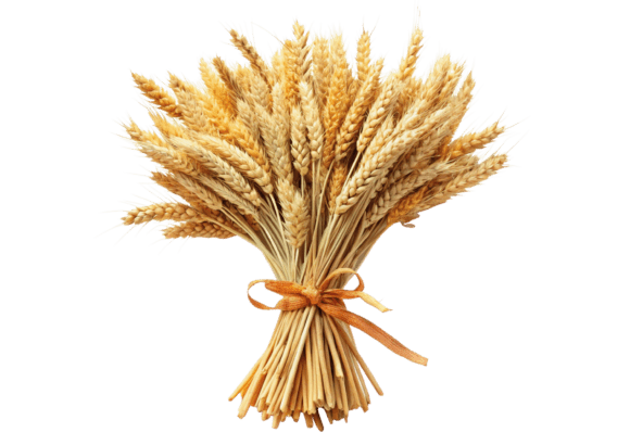 Watercolor 3D Sheaf of Wheat with Ribbon: A Versatile Design Element for Your Creative Projects